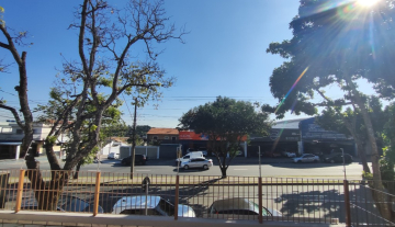 C3825 2.jpg